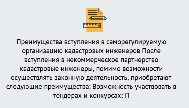 Почему нужно обратиться к нам? Кушва Что дает допуск СРО кадастровых инженеров?