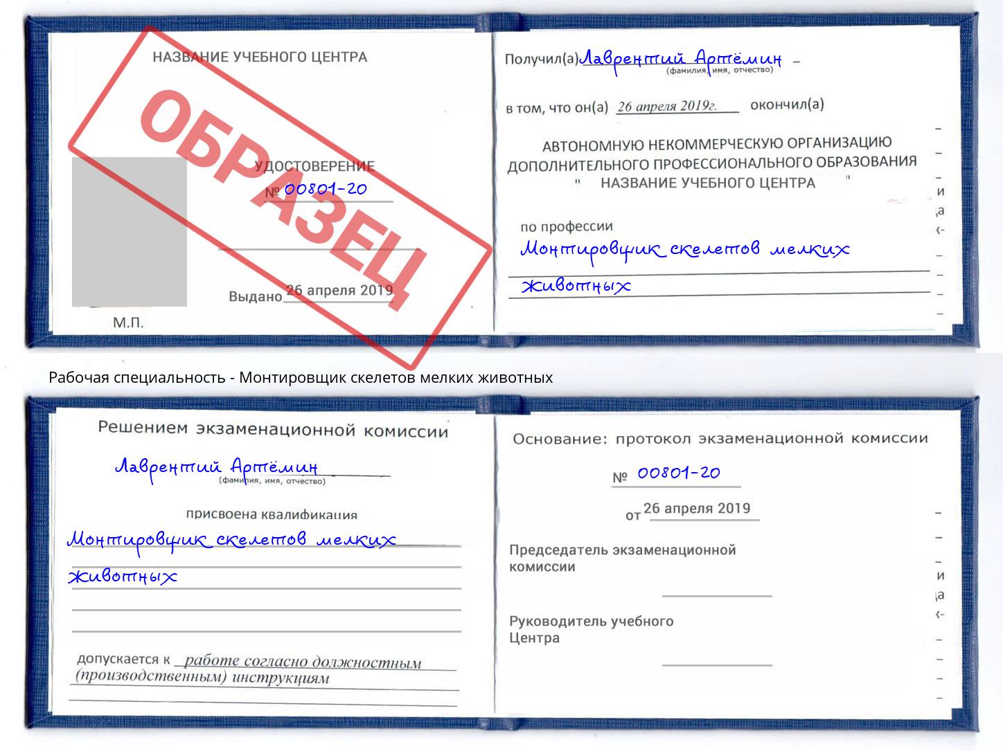 Монтировщик скелетов мелких животных Кушва