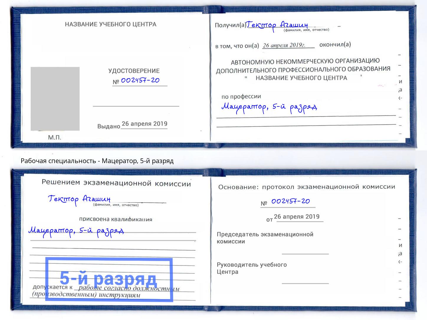 корочка 5-й разряд Мацератор Кушва